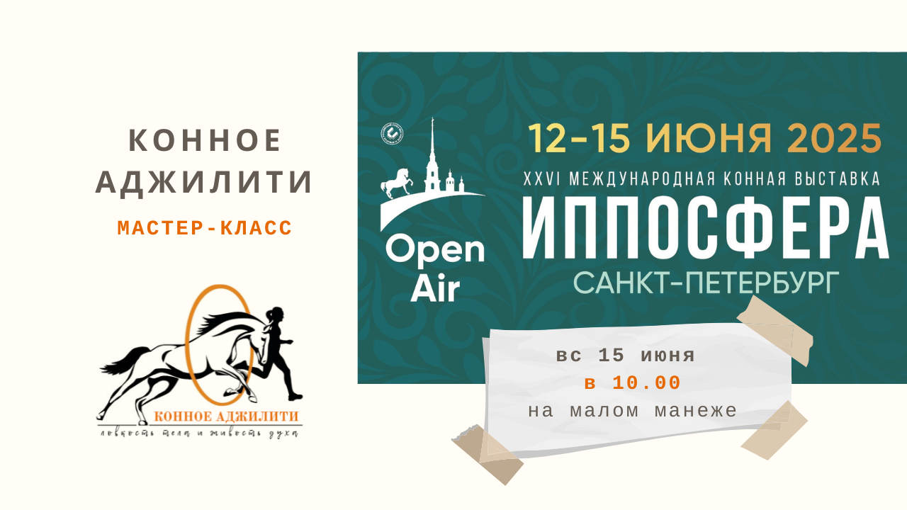Конное Аджилити на Иппосфере